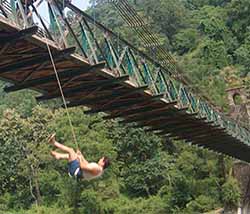 BRIDGE SLITHERING in Jim Corbett
