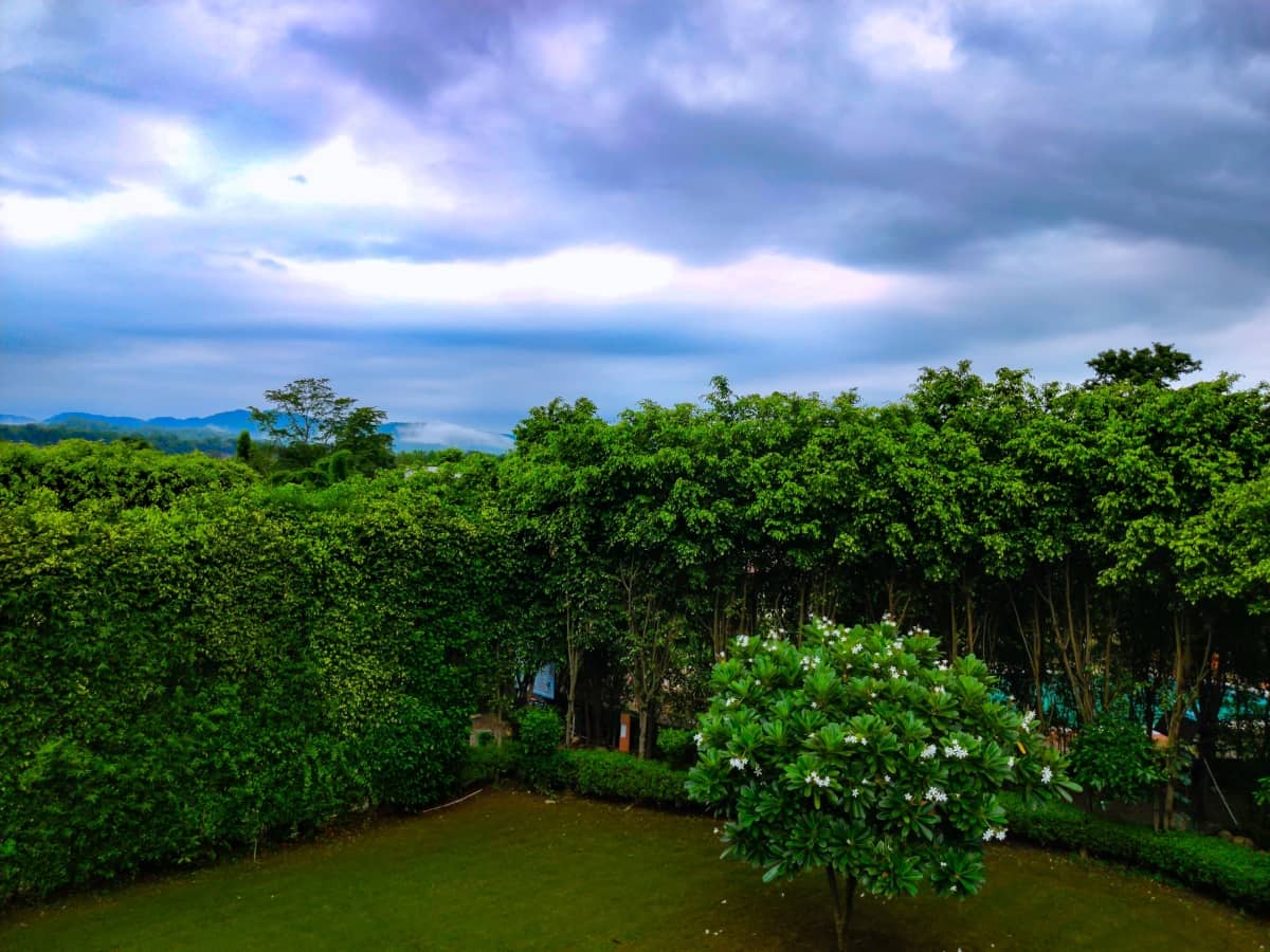 corbett-machaan-resort