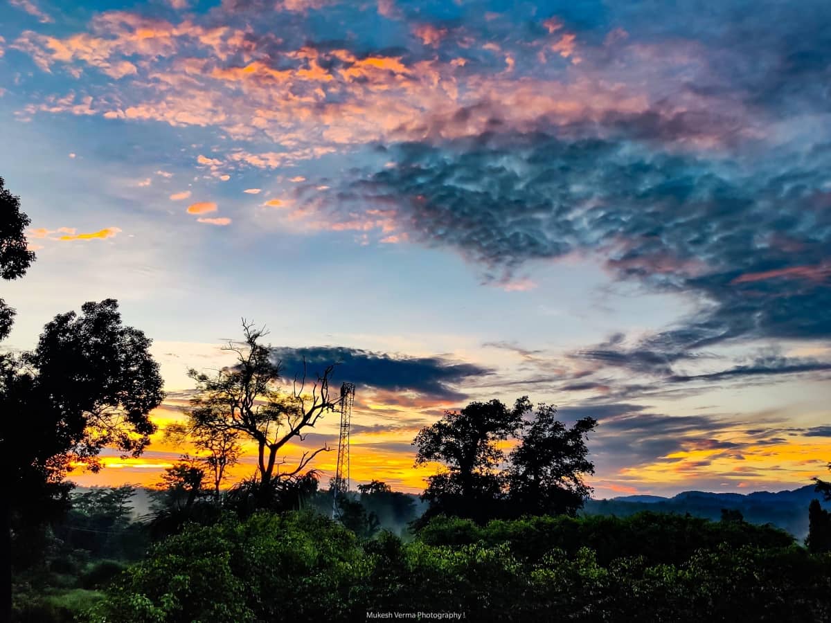 corbett-machaan-resort
