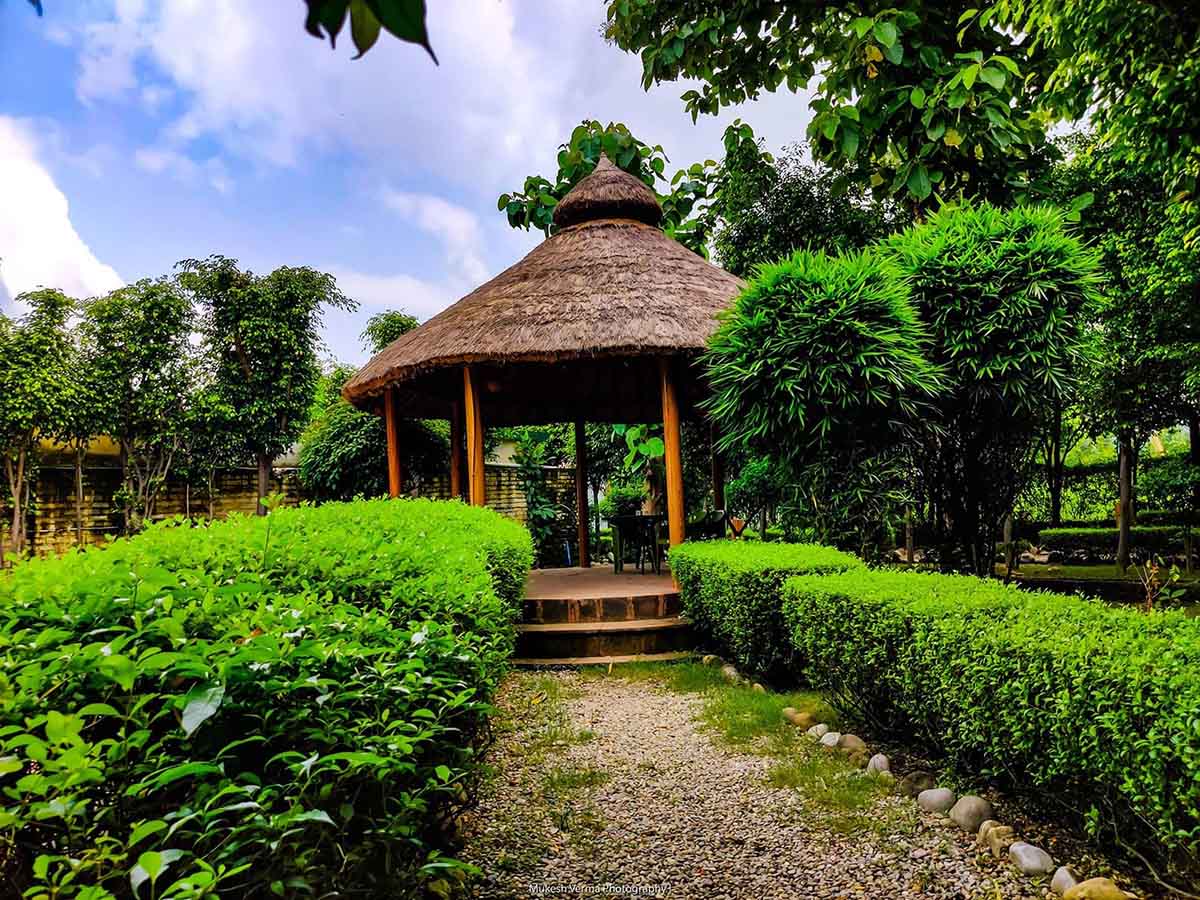 corbett-machaan-resort