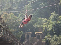 FLYING FOX in Jim Corbett