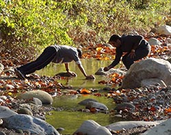 NATURE WALK in Jim Corbett
